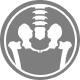 Hips