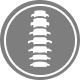 Spine (vertebral fractures)